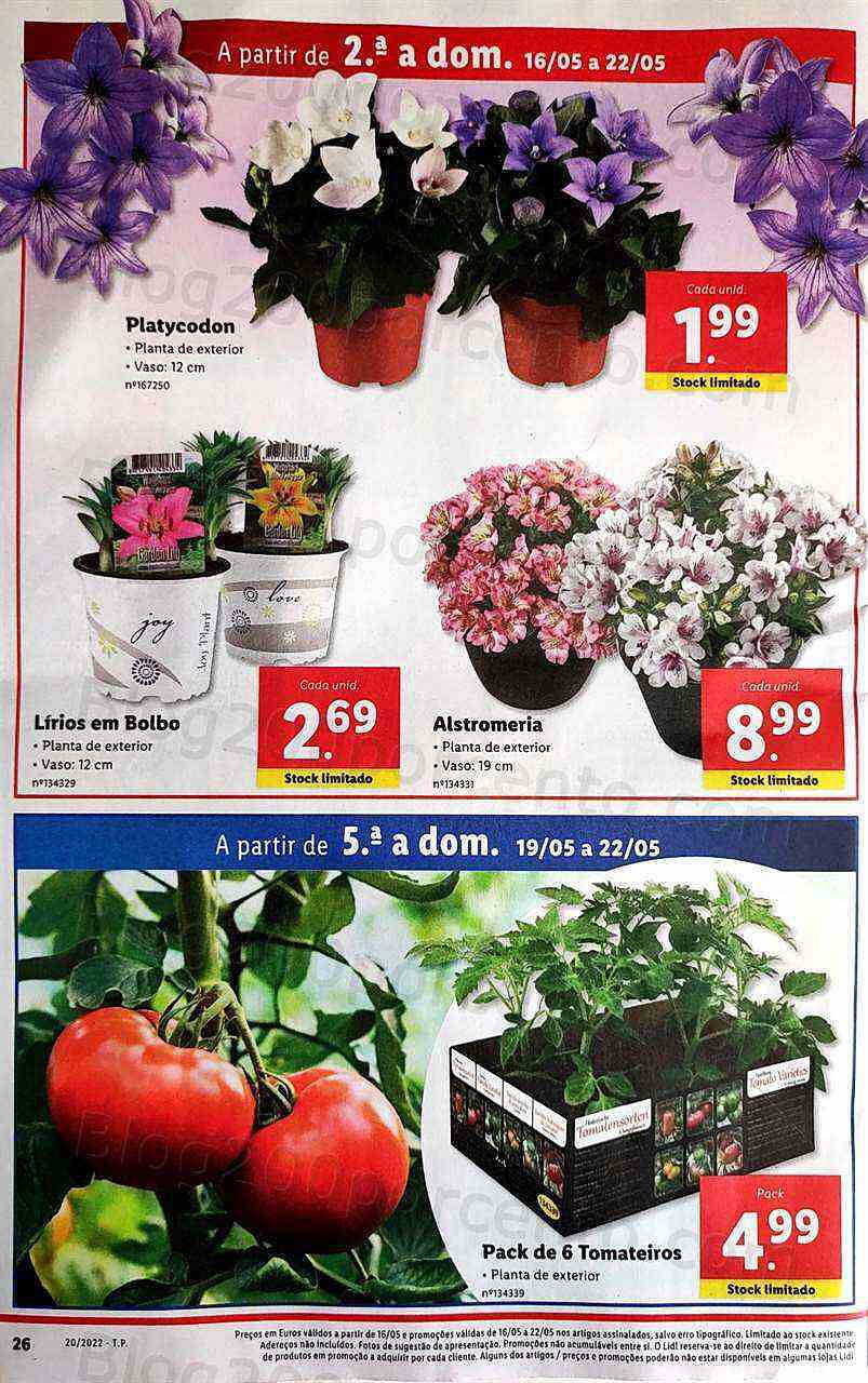 Antevisão Folheto LIDL Promoções de 16 a 22 maio