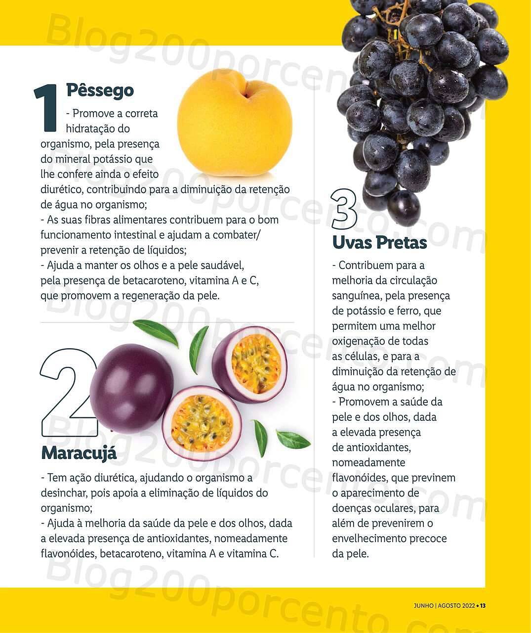 Antevisão Revista Mais LIDL Especial Verão