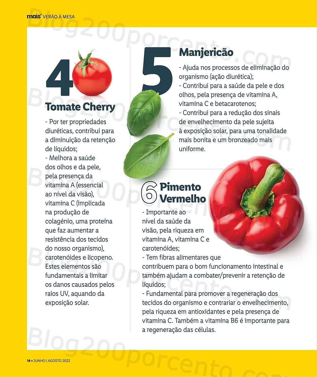 Antevisão Revista Mais LIDL Especial Verão