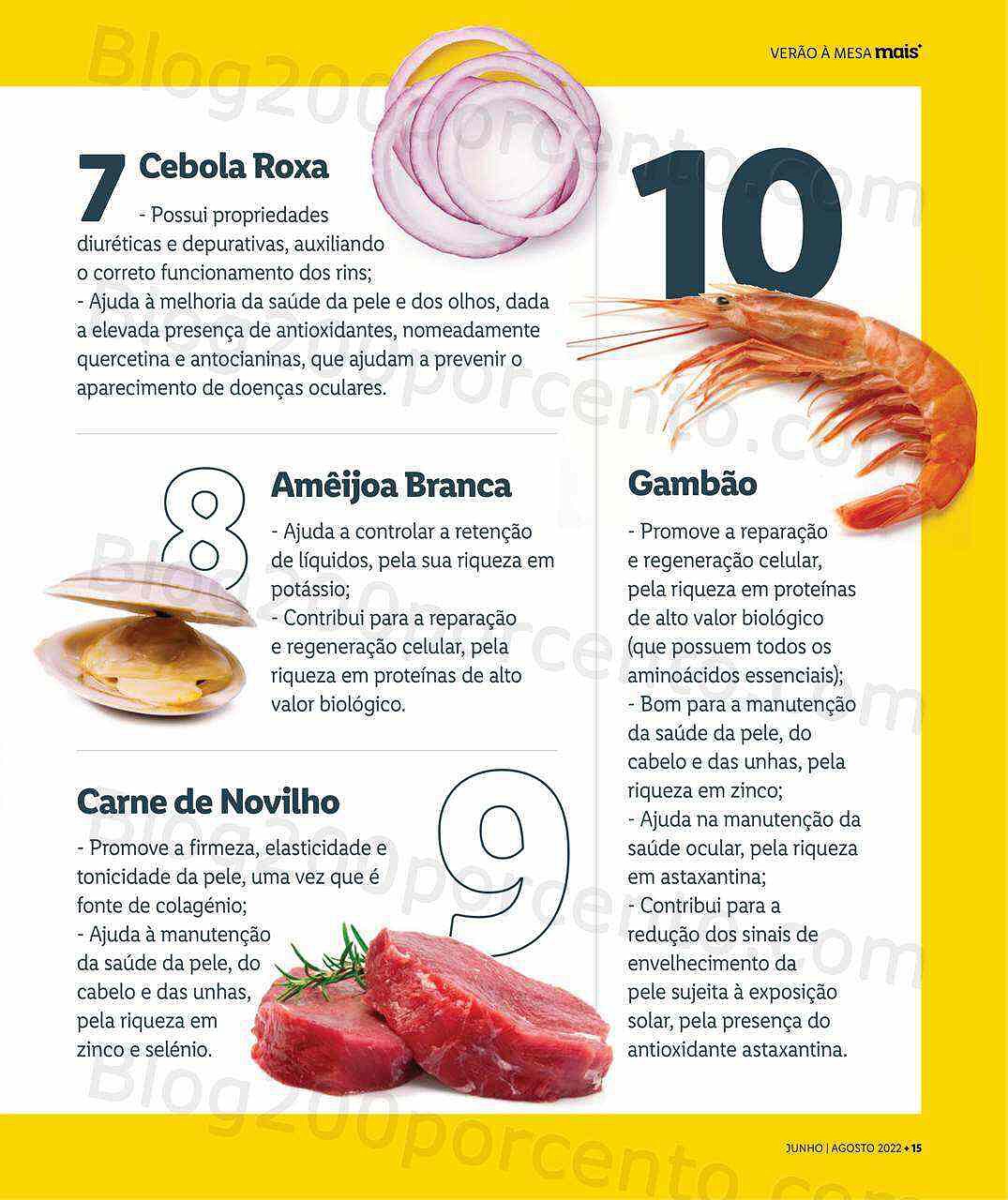 Antevisão Revista Mais LIDL Especial Verão