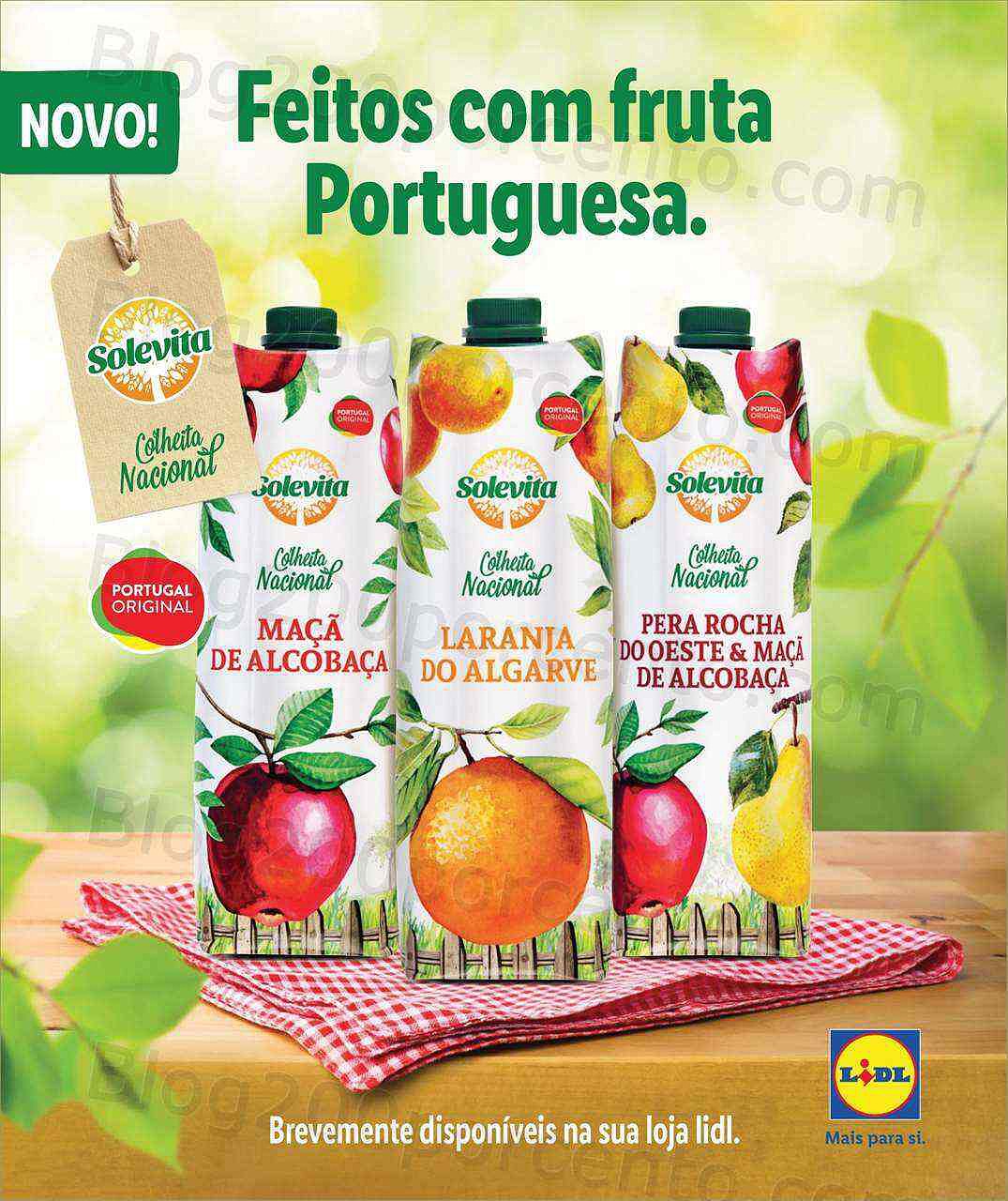 Antevisão Revista Mais LIDL Especial Verão