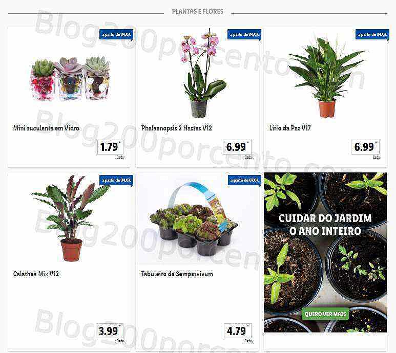 Antevisão Folheto LIDL Promoções de 4 a 10 julho