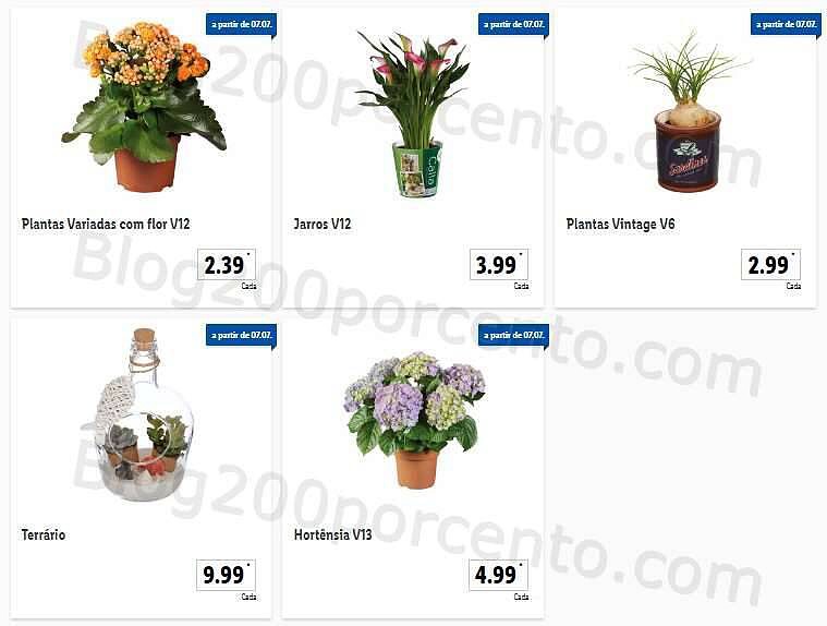 Antevisão Folheto LIDL Promoções de 4 a 10 julho