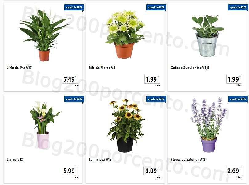 Antevisão Folheto LIDL Promoções de 25 a 31 julho