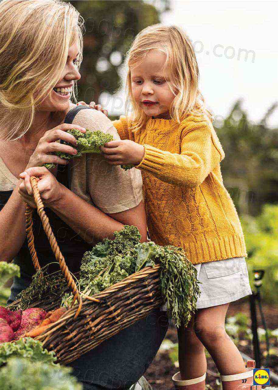 Antevisão Folheto LIDL Alimentação Alternativa Promoções de 25 a 31 julho