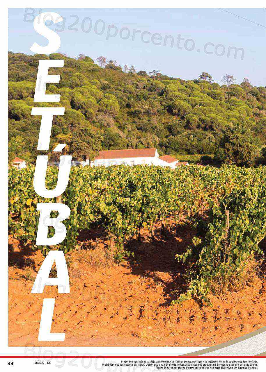 Antevisão Folheto LIDL Especial Vinhos Nacionais