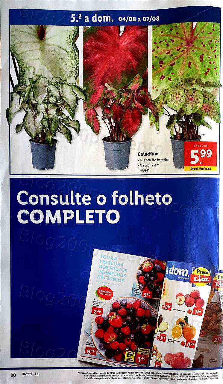 Antevisão Folheto LIDL Promoções de 1 a 7 agosto