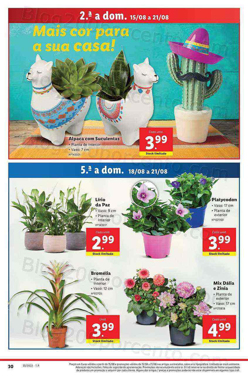 Antevisão Folheto LIDL Promoções de 15 a 21 agosto