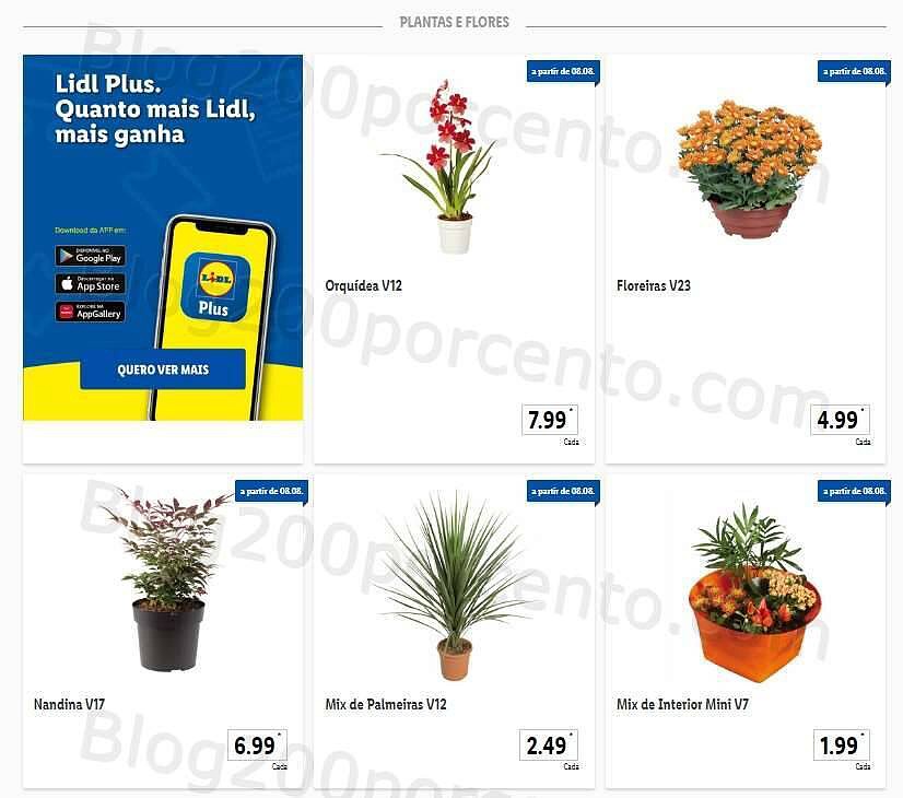 Antevisão Folheto LIDL Promoções de 8 a 14 agosto - Versão Completa