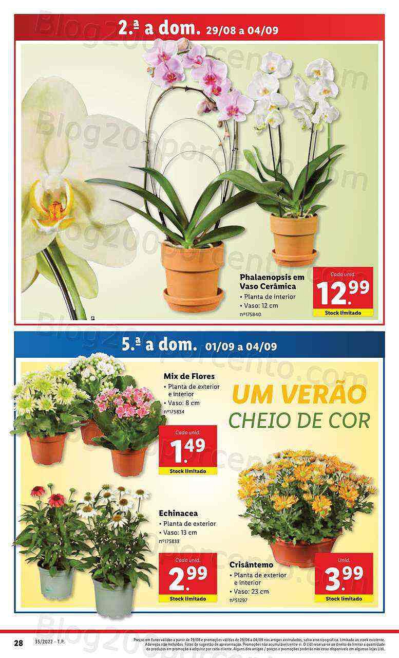 Antevisão Folheto LIDL Promoções de 29 agosto a 4 setembro