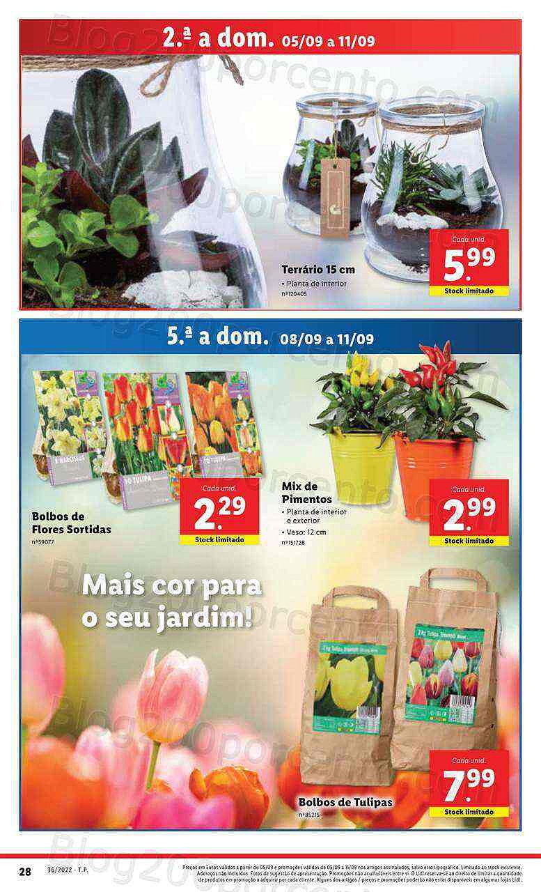 Antevisão Folheto LIDL Promoções de 5 a 11 setembro