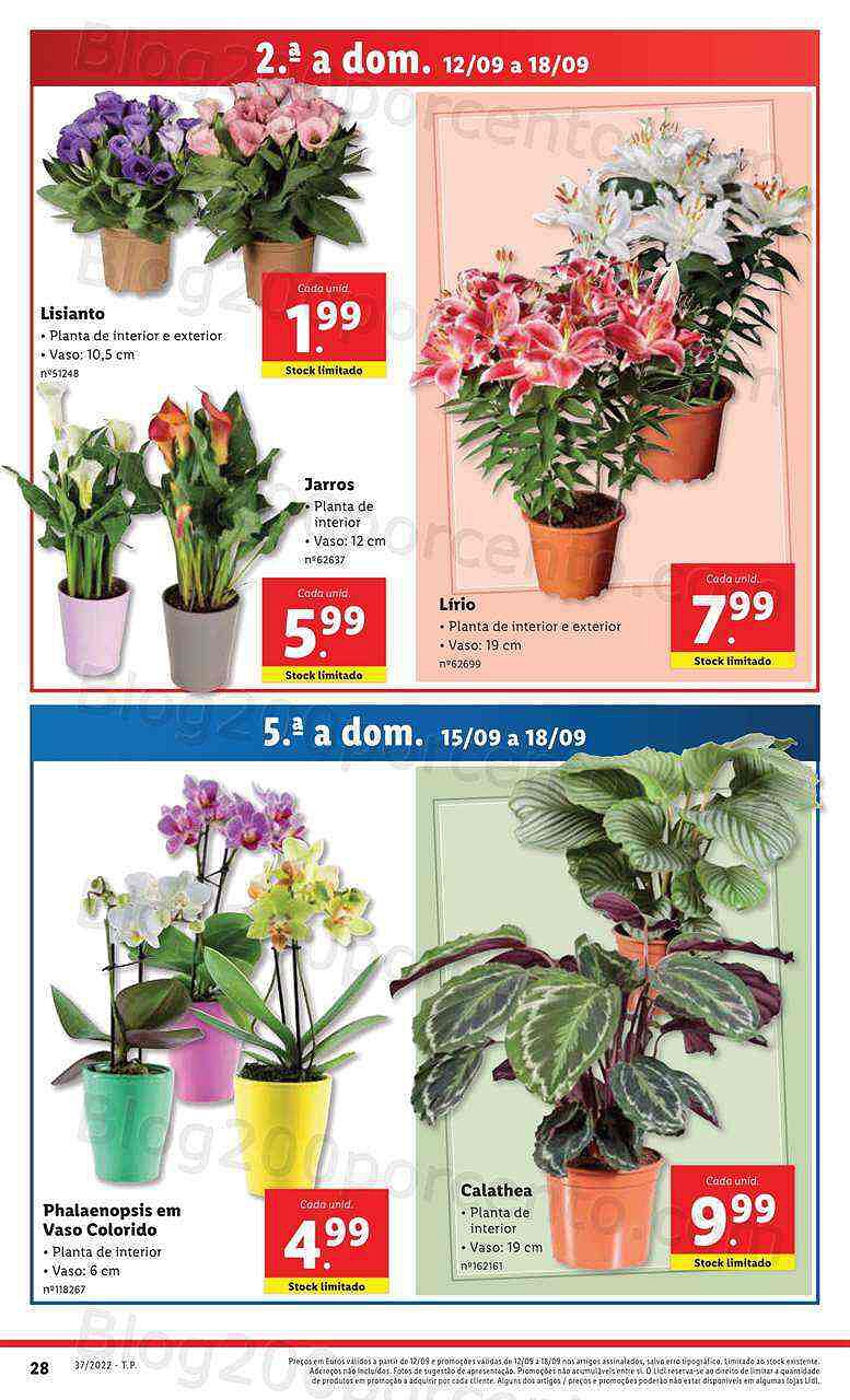 Antevisão Folheto LIDL Promoções de 12 a 18 setembro - Edição Digital