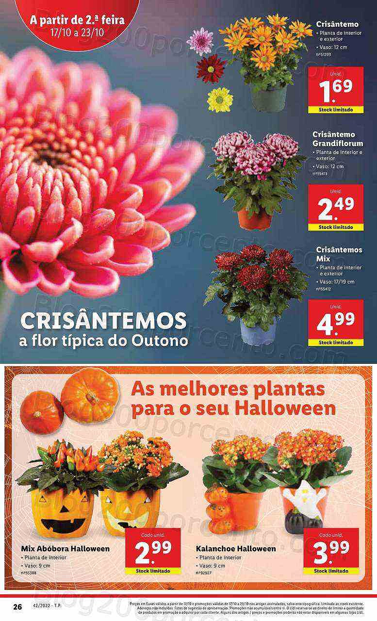 Antevisão Folheto LIDL Promoções de 17 a 23 outubro - Edição Digital