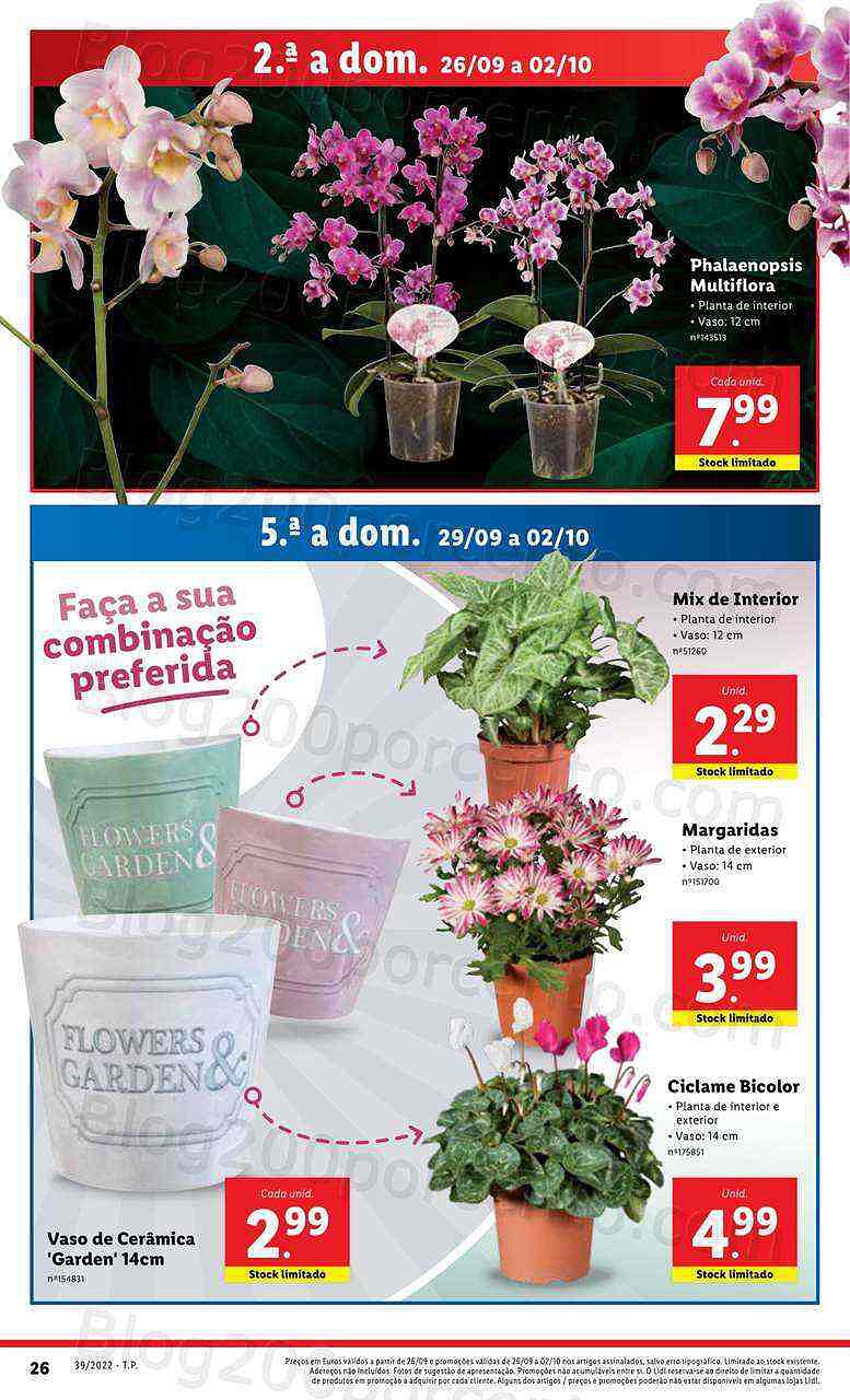 Antevisão Folheto LIDL Mercado de Plantas Promoções de 26 setembro a 2 outubro