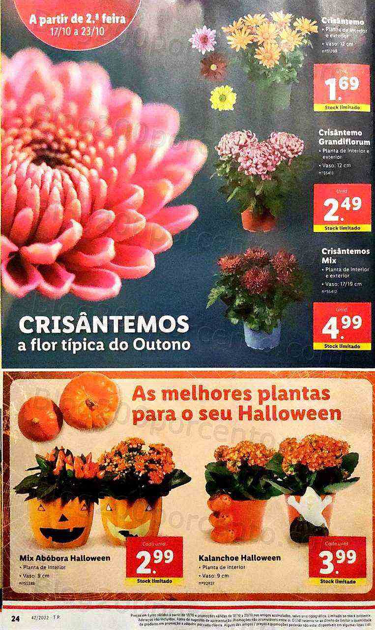 Antevisão Folheto LIDL Promoções de 17 a 23 outubro