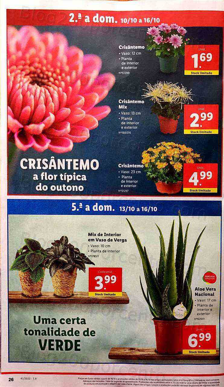 Antevisão Folheto LIDL Promoções de 10 a 16 outubro