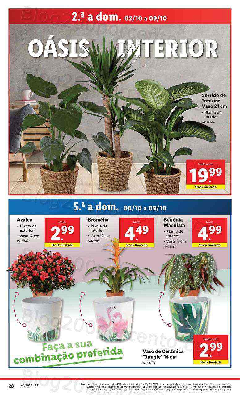 Antevisão Folheto LIDL Mercado de Plantas Promoções de 3 a9 outubro