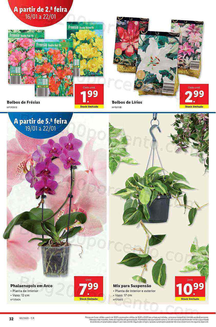 Antevisão Folheto LIDL Promoções de 16 a 22 janeiro