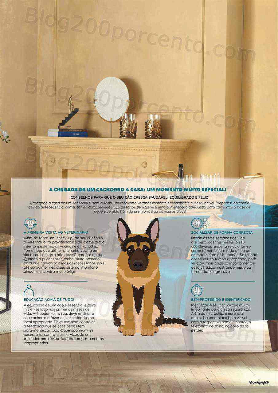 Antevisão Folheto EL CORTE INGLÉS Especial Pets Promoções de 6 a 20 janeiro