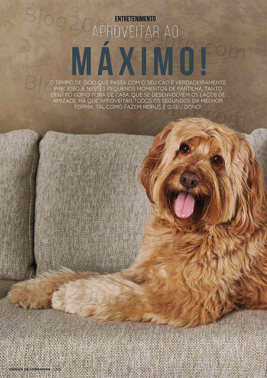 Antevisão Folheto EL CORTE INGLÉS Especial Pets Promoções de 6 a 20 janeiro