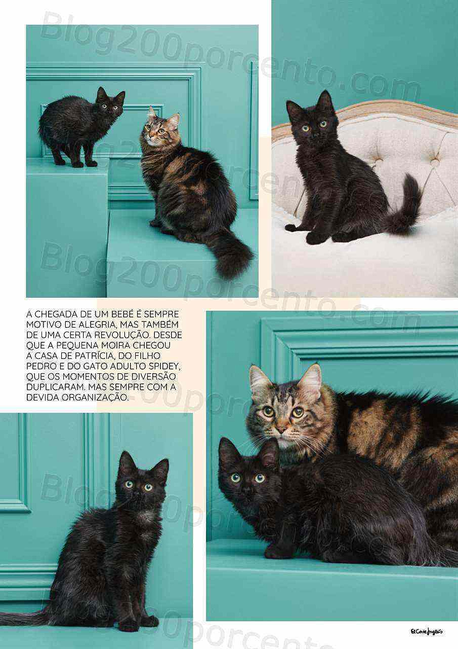 Antevisão Folheto EL CORTE INGLÉS Especial Pets Promoções de 6 a 20 janeiro