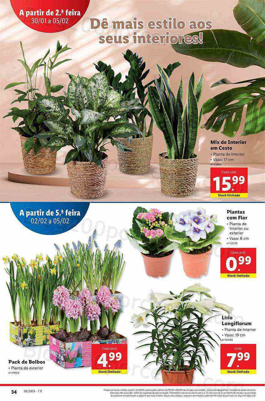 Antevisão Folheto LIDL Promoções de 30 janeiro a 5 fevereiro