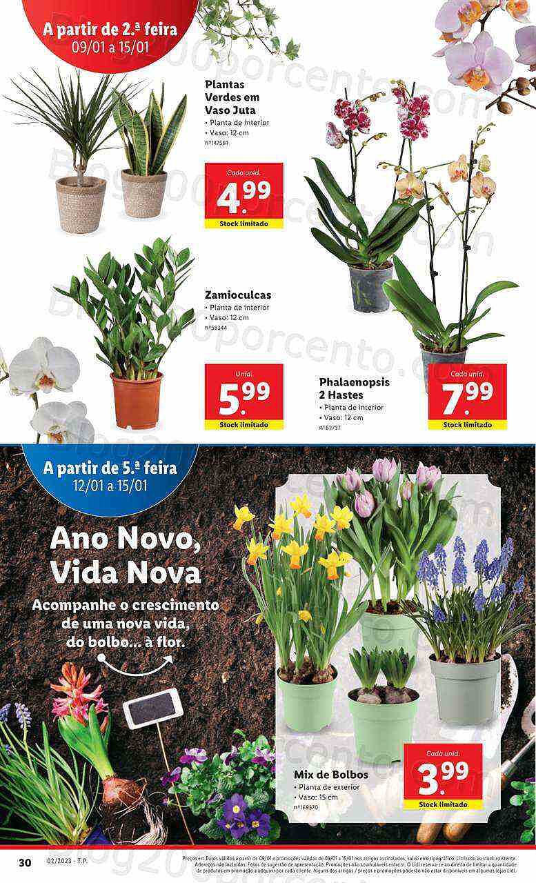 Antevisão Folheto LIDL Promoções de 9 a 15 janeiro - Edição Digital e Completa