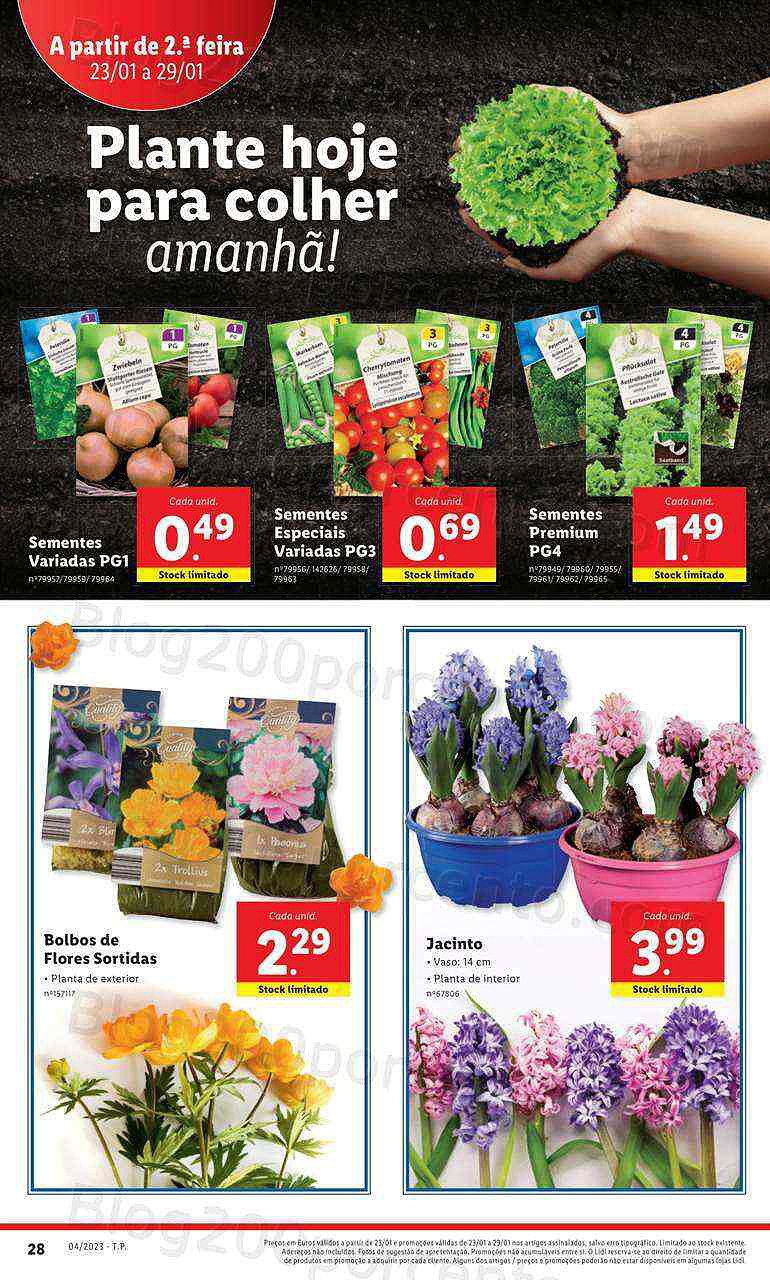 Antevisão Folheto LIDL Promoções de 23 a 29 janeiro - Edição Digital e Completa
