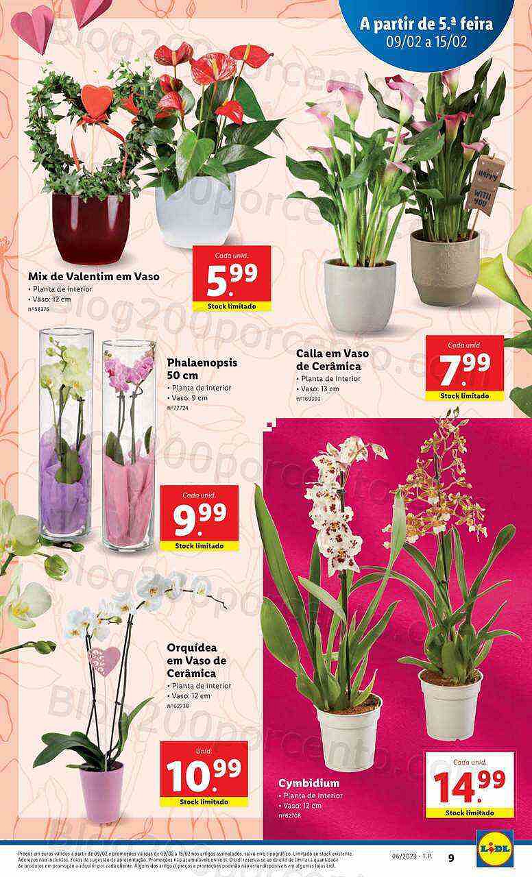 Antevisão Folheto LIDL Bazar Promoções de 6 a 15 fevereiro