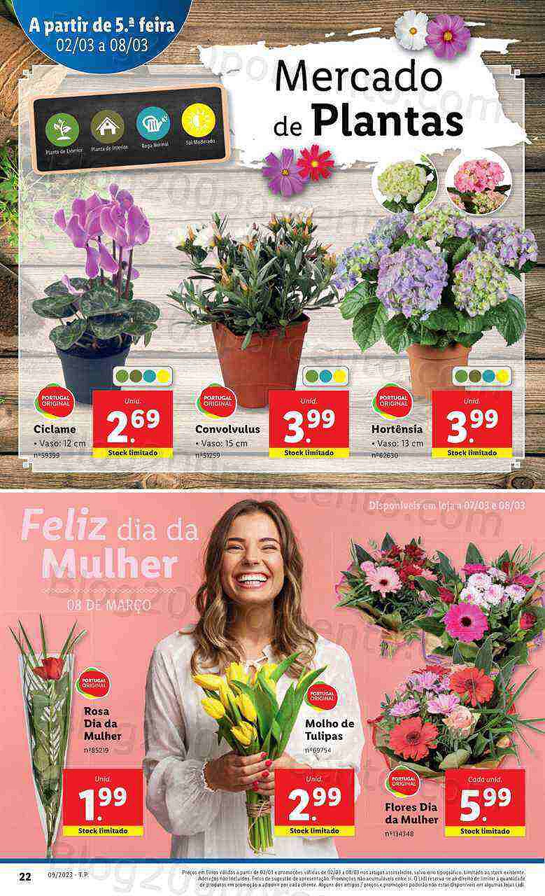 Antevisão Folheto LIDL Mercado de Plantas Promoções de 2 a 8 março