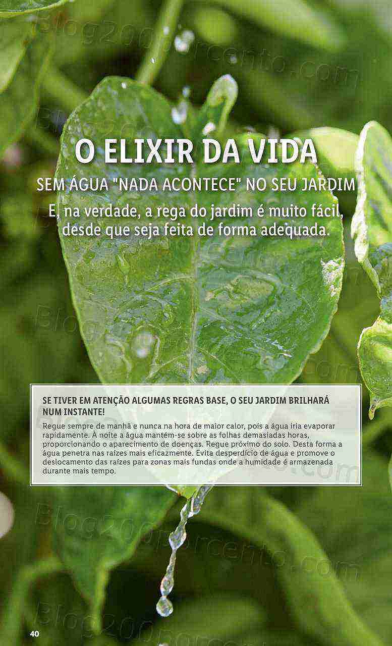 Antevisão Folheto LIDL Bazar Promoções a partir de 9 março