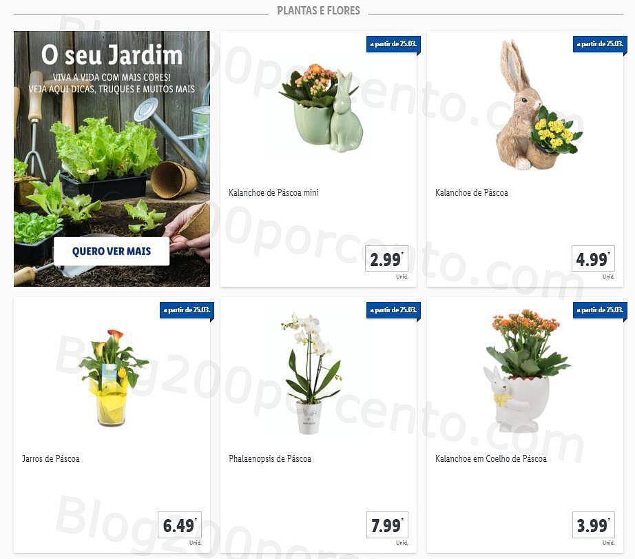 01 Promoções-Descontos-40127.jpg