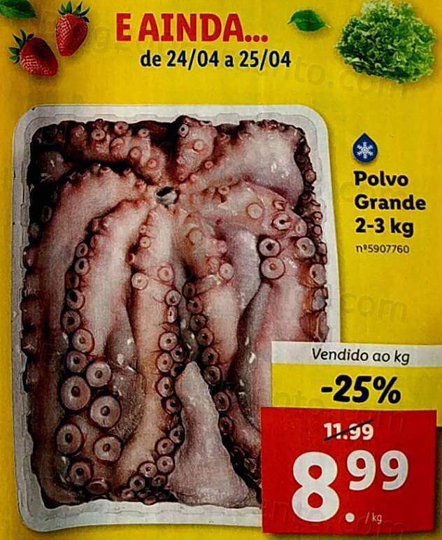 01 Promoções-Descontos-40345.jpg