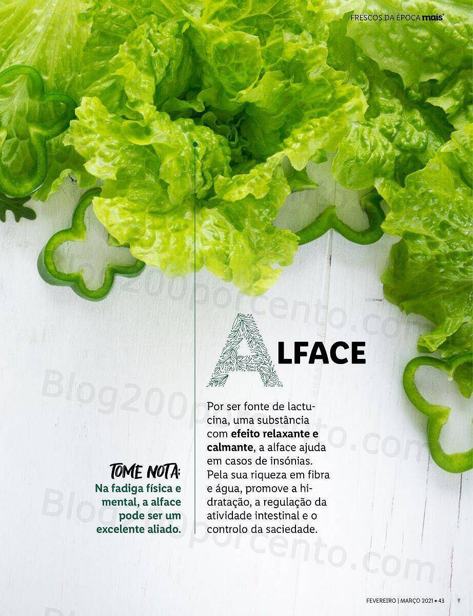 Antevisão Bazar LIDL