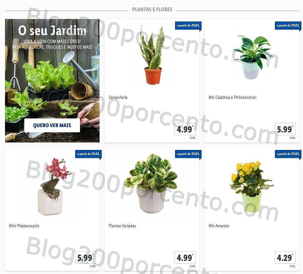 01 Promoções-Descontos-40171.jpg