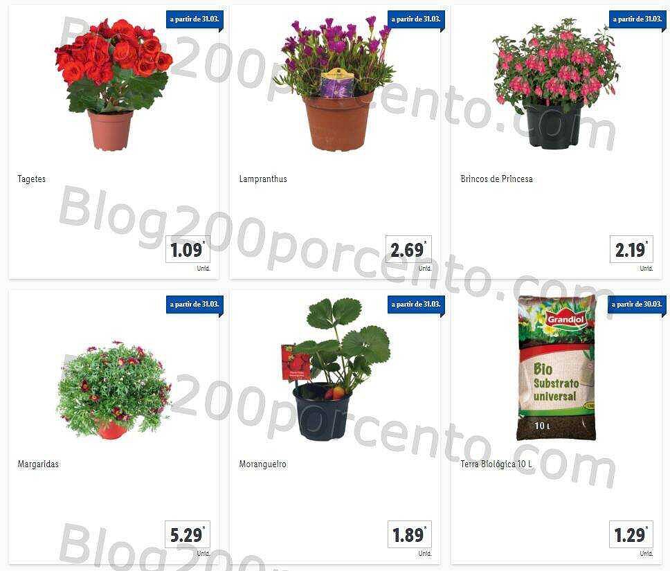 01 Promoções-Descontos-40173.jpg