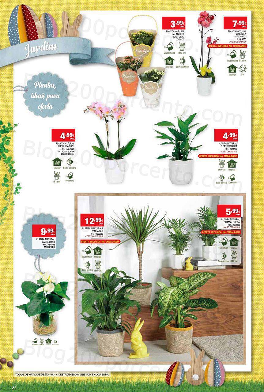 01 páscoa madeira p22.jpg