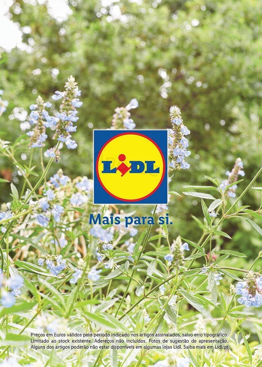 Jardim-lidl-8-abril-36.jpg