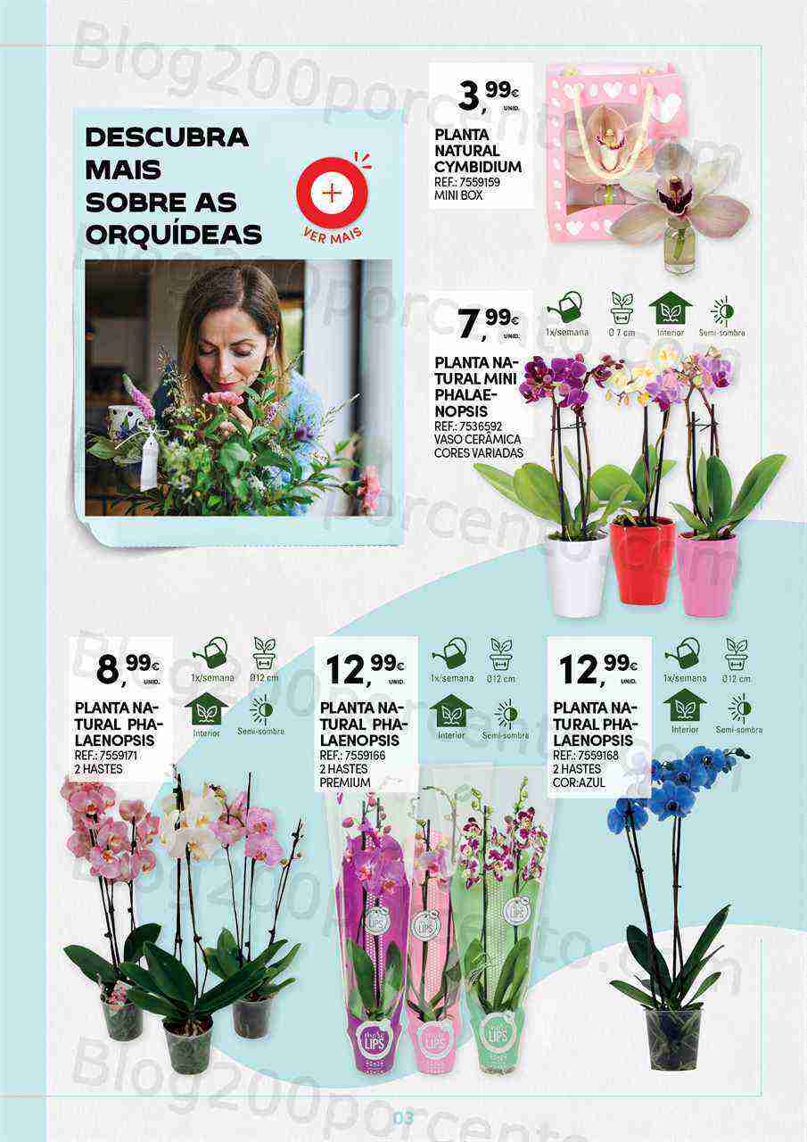 Antevisão Folheto CONTINENTE Dia da Mãe Promoções de 25 abril a 7 maio