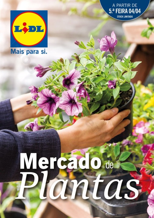 Mercado-de-Plantas-A-partir-de-04.04-01_000.jpg