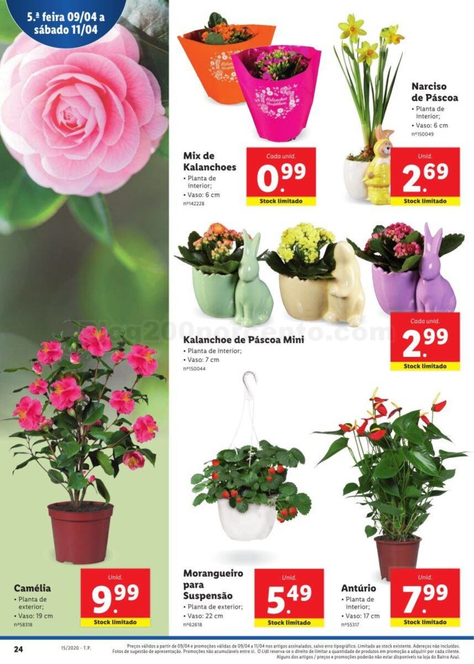 Antevisão LIDL Promoções de 6 a 12 abril p40.jp
