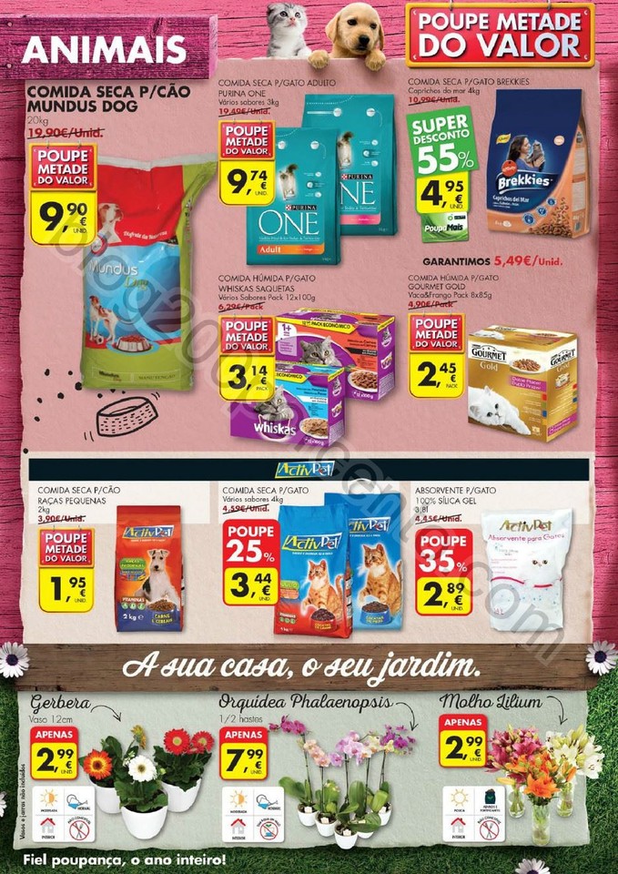 Antevisão Folheto PINGO DOCE Promoções de 23 a 