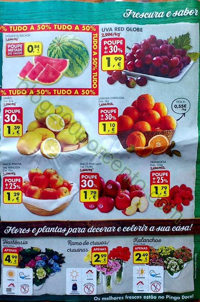 pingo doce 12 abril_3.jpg