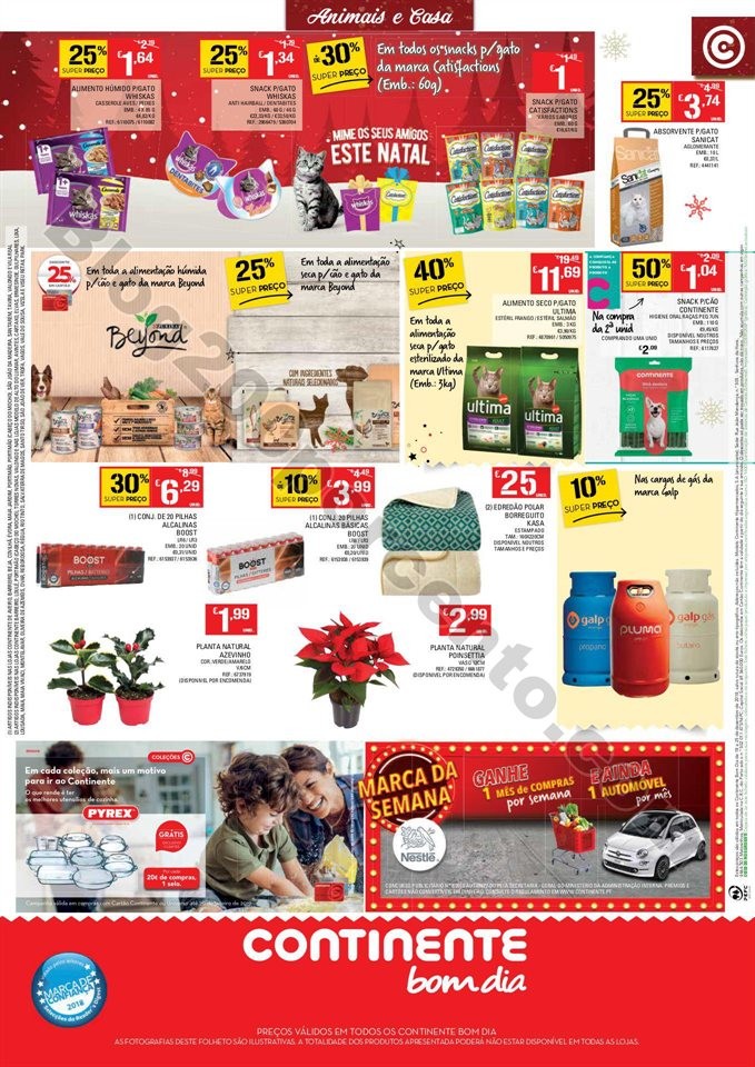 Antevisão bom dia 18 a 25 dezembro p16.jpg