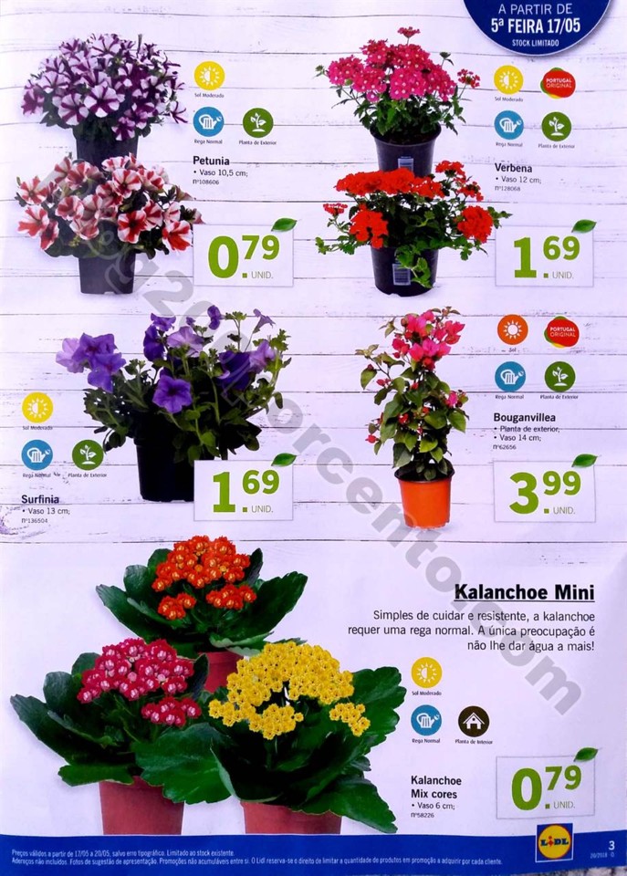 mercado plantas lidl_3.jpg