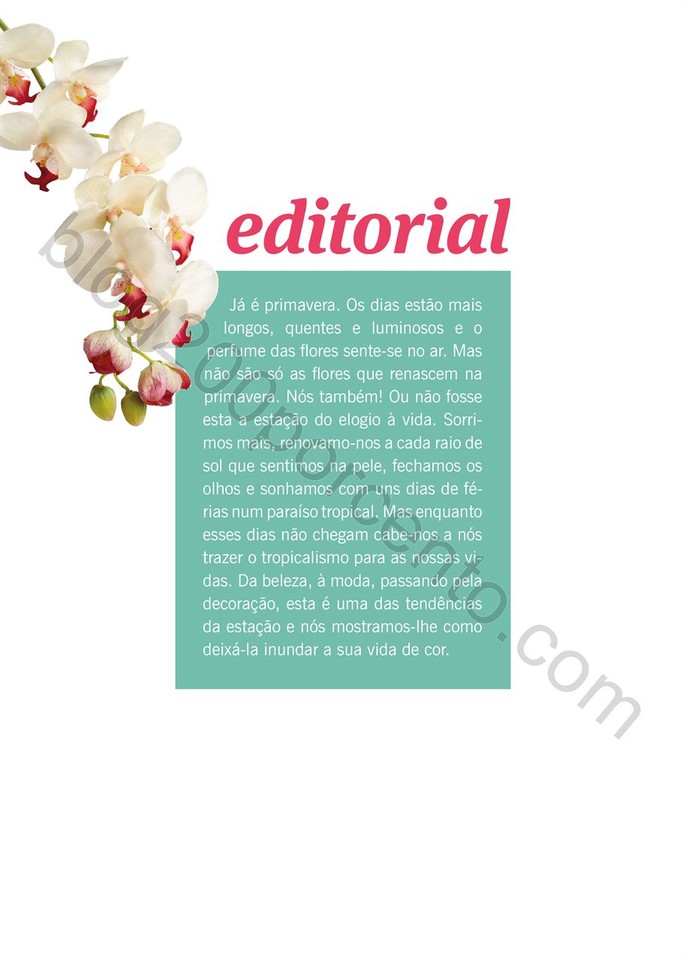 Especial_Tropical_Living_Mais_para_si_Lidl_PT_001.