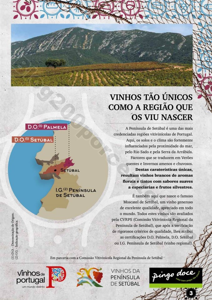 Antevisão Folheto PINGO DOCE Vinhos promoções d
