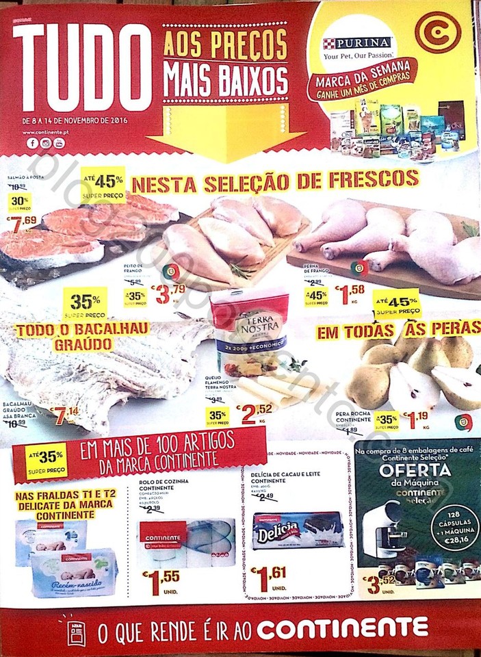 Novo Documento 3_1.jpg