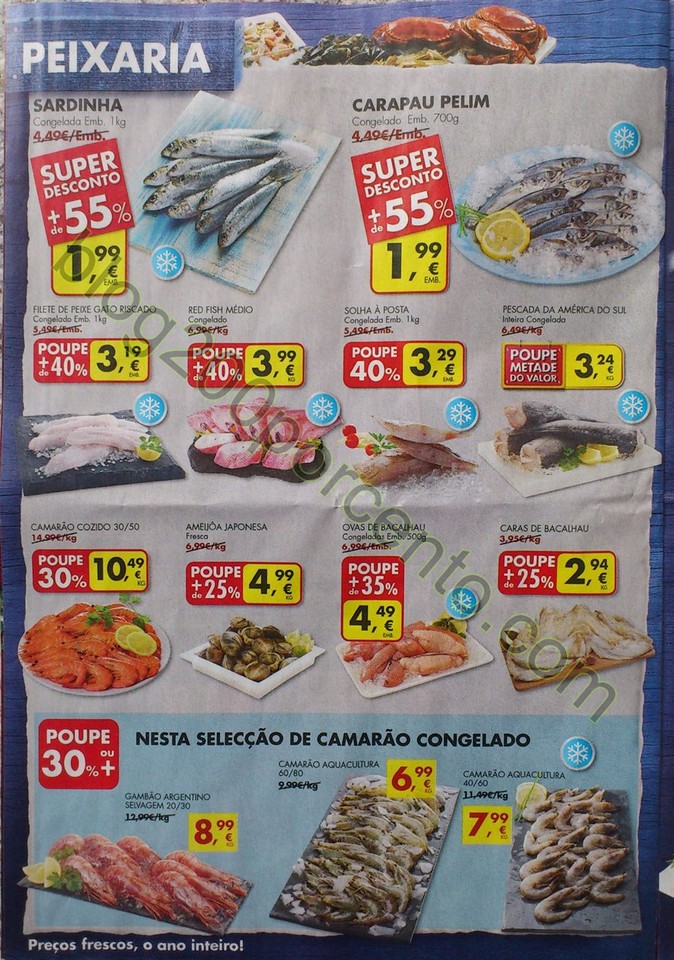 Novo Documento 5_4.jpg