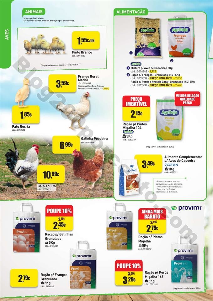 agriloja 17 outubro a 17 dezembro_003.jpg